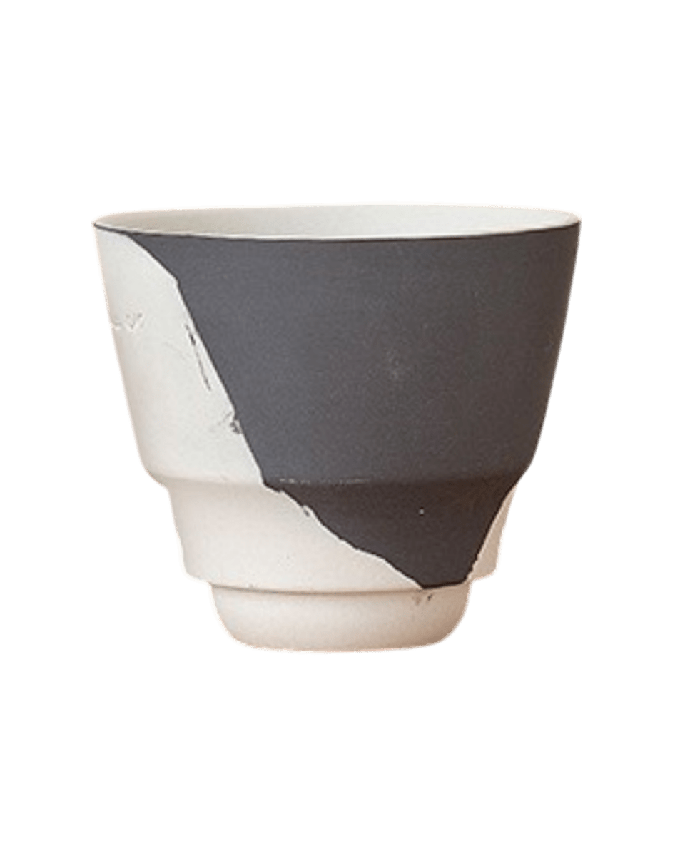 Ripple Duotone Mini - Pots - RIPP - BLC - 6714 - Tumbleweed Plants - Online Plant Delivery Singapore