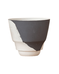 Ripple Duotone Mini - Pots - RIPP - BLC - 6714 - Tumbleweed Plants - Online Plant Delivery Singapore