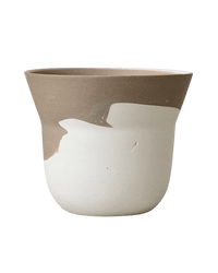 Ripple Duotone Mini - Pots - 5401454694549 - Tumbleweed Plants - Online Plant Delivery Singapore