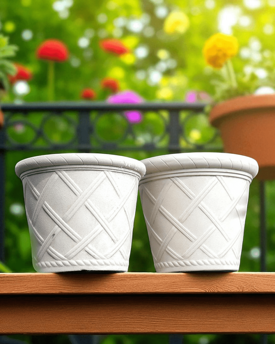 Roman Lattice Pot - Medium - Planter - 5459844634547 - Tumbleweed Plants - Online Plant Delivery Singapore