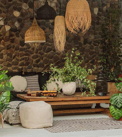 A room with plants on a low wooden table