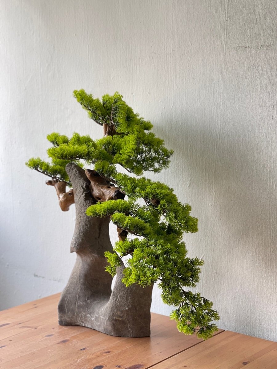 Sculpted Bonsai on Stone Centerpiece - Real - Trunk Artificial - Plant Arrangement - 5516314535781 - Tumbleweed Plants - Online Plant Delivery Singapore