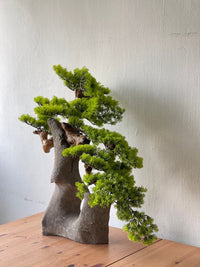 Sculpted Bonsai on Stone Centerpiece - Real - Trunk Artificial - Plant Arrangement - 5516314535781 - Tumbleweed Plants - Online Plant Delivery Singapore