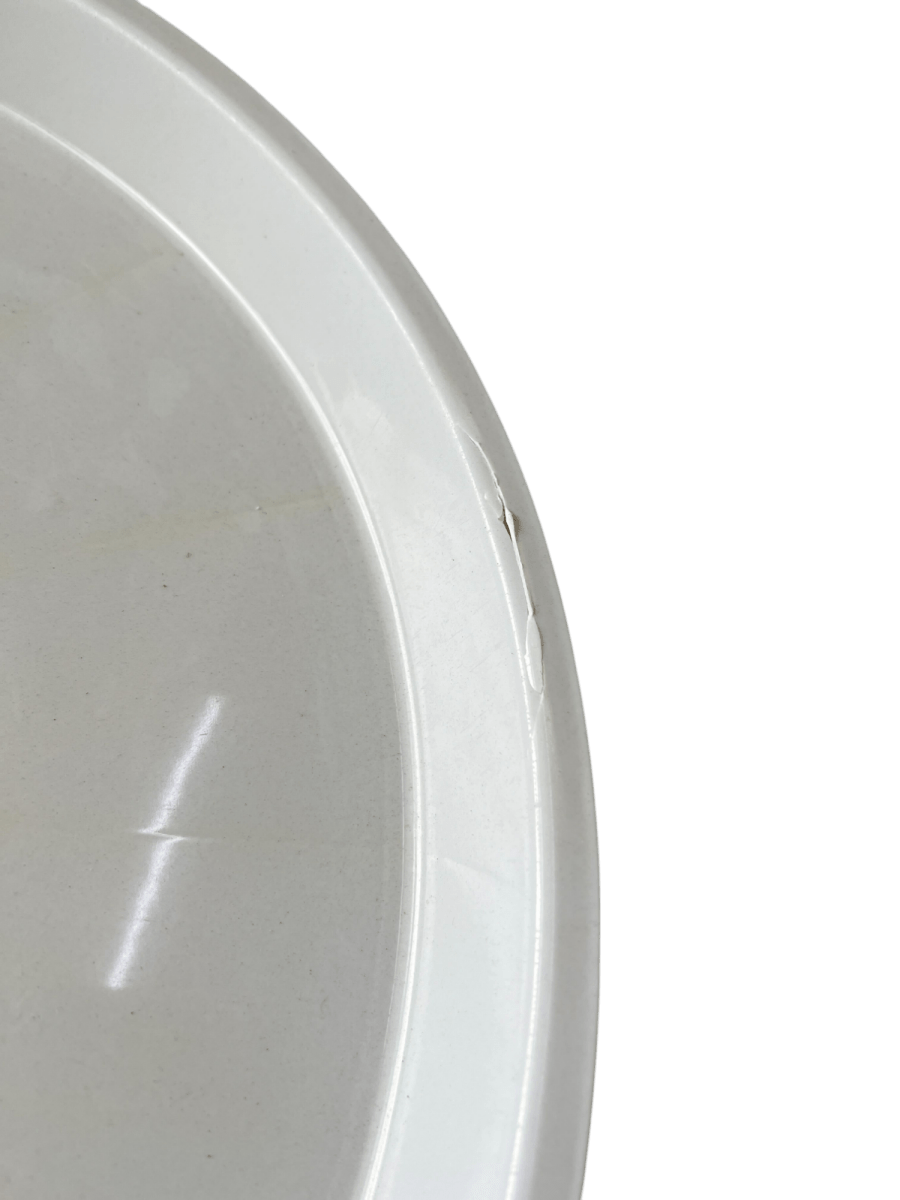Second Chance: Plastic Tray - Home Decor - HOME - SECO - 6819 - Tumbleweed Plants - Online Plant Delivery Singapore