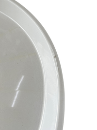 Second Chance: Plastic Tray - Home Decor - HOME - SECO - 6819 - Tumbleweed Plants - Online Plant Delivery Singapore