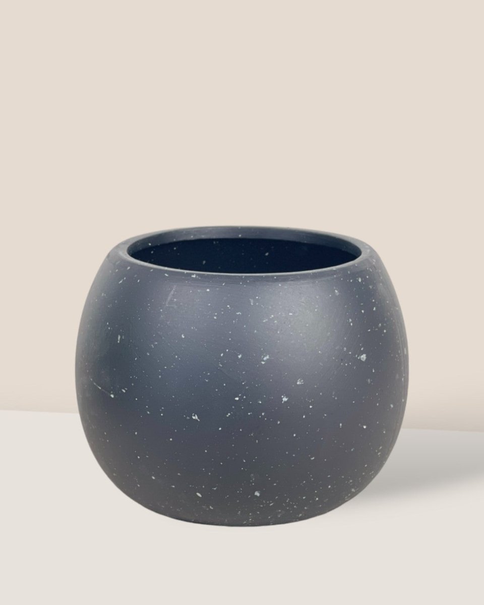 Small Nala Planter - black (no tray) - Pot - Tumbleweed Plants - Online Plant Delivery Singapore