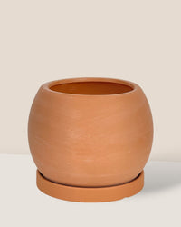 Small Nala Planter - black (no tray) - Pot - Tumbleweed Plants - Online Plant Delivery Singapore
