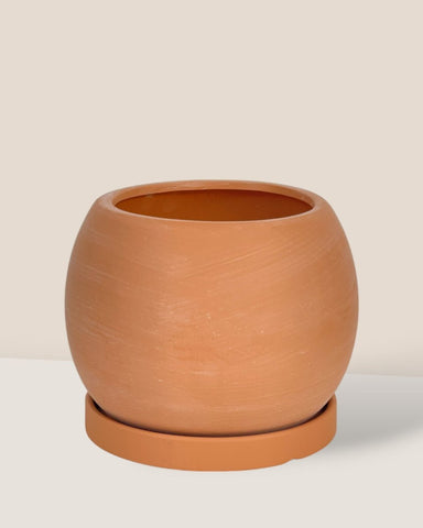 Nala Planter - Medium - standard with tray / 17cm / Brown