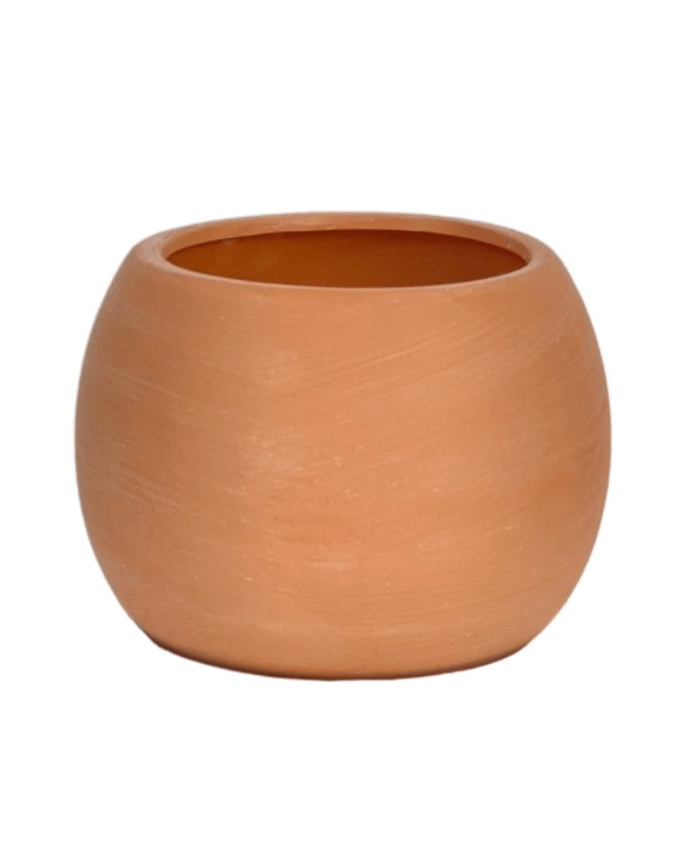 Small Nala Planter - Pots - POT - SMAL - BRW - 6263 - Tumbleweed Plants - Online Plant Delivery Singapore