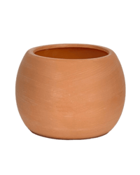Small Nala Planter - Pots - POT - SMAL - BRW - 6263 - Tumbleweed Plants - Online Plant Delivery Singapore