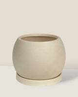 Nala Planter - Small