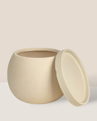 Small Nala Planter - cream - Pot - Tumbleweed Plants - Online Plant Delivery Singapore