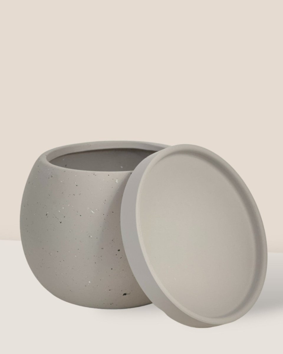 Small Nala Planter - grey - Pot - Tumbleweed Plants - Online Plant Delivery Singapore