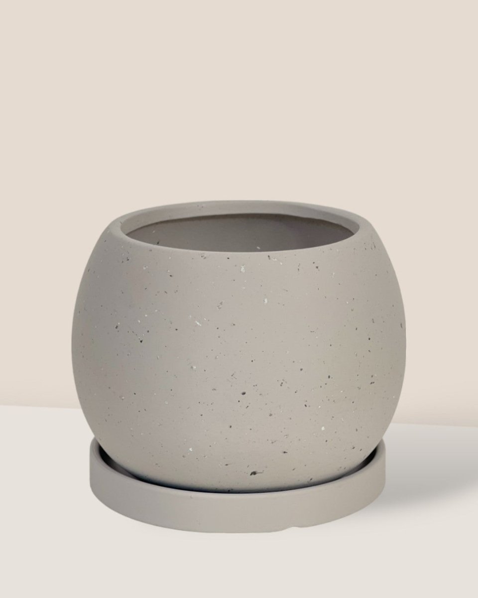 Small Nala Planter - grey - Pot - Tumbleweed Plants - Online Plant Delivery Singapore