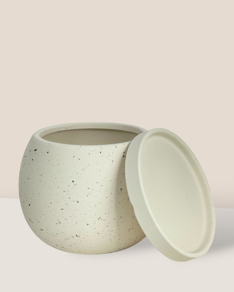 Small Nala Planter - white - Pot - Tumbleweed Plants - Online Plant Delivery Singapore