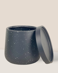 Small Tulip Terracotta with Tray - black - Pot - Tumbleweed Plants - Online Plant Delivery Singapore