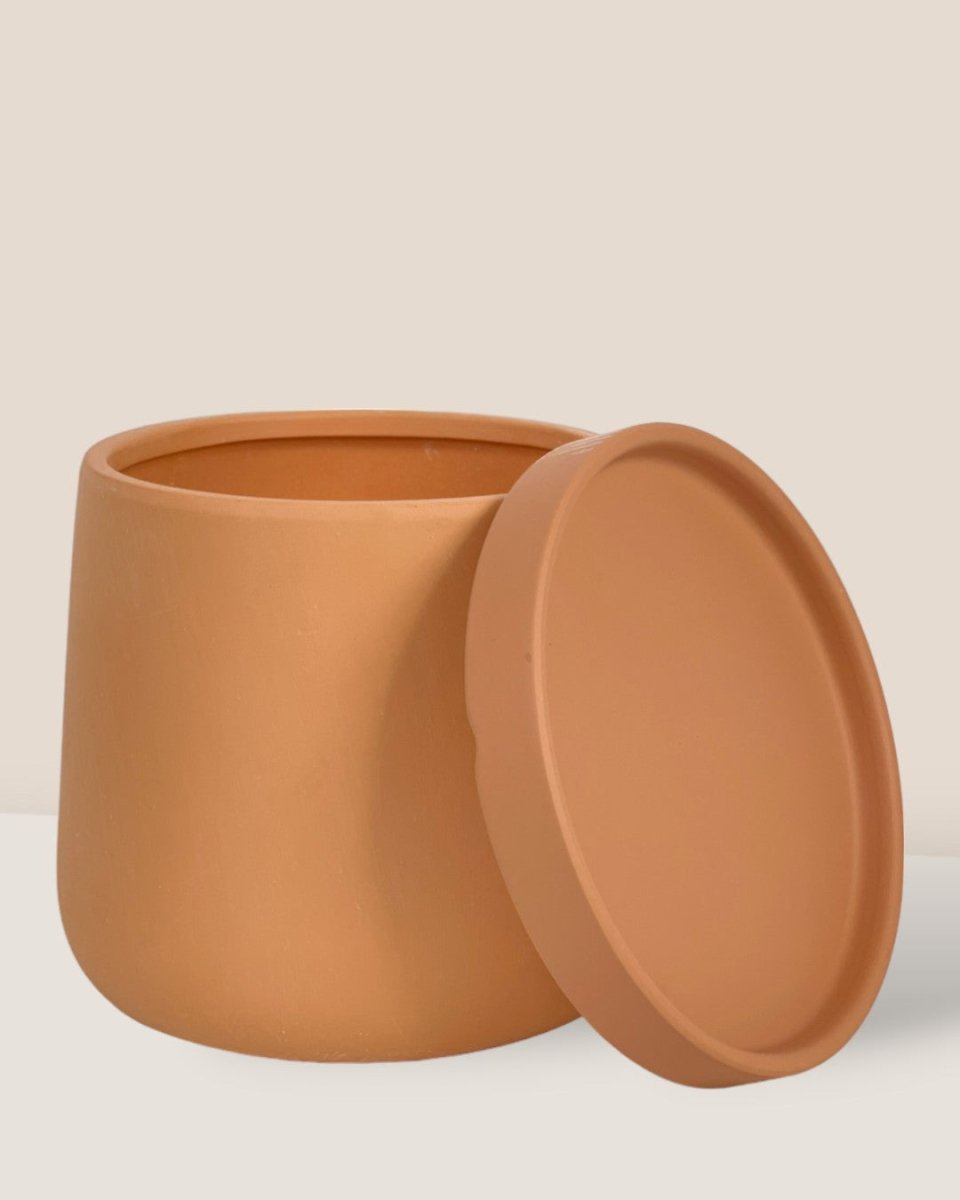 Small Tulip Terracotta with Tray - brown - Pot - Tumbleweed Plants - Online Plant Delivery Singapore