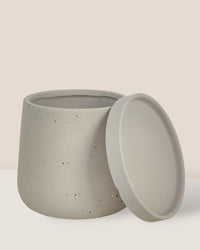 Small Tulip Terracotta with Tray - grey - Pot - Tumbleweed Plants - Online Plant Delivery Singapore