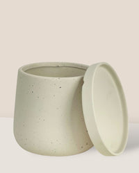 Small Tulip Terracotta with Tray - white - Pot - Tumbleweed Plants - Online Plant Delivery Singapore