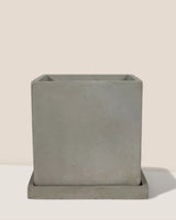 Smoffy Cement Planter - Medium