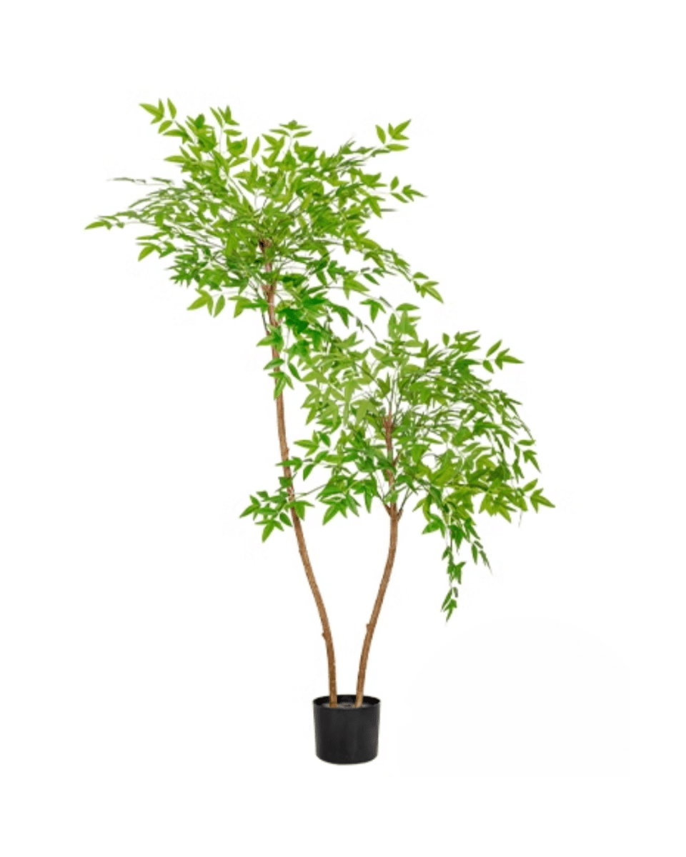 Southern Sky Bamboo (Life - like Artificial) - Potted plant - POTT - SOUT - GRW - 6853 - Tumbleweed Plants - Online Plant Delivery Singapore