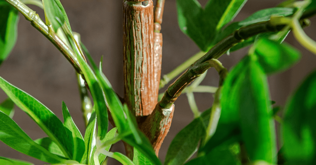 Southern Sky Bamboo (Life - like Artificial) - Potted plant - POTT - SOUT - GRW - 6853 - Tumbleweed Plants - Online Plant Delivery Singapore