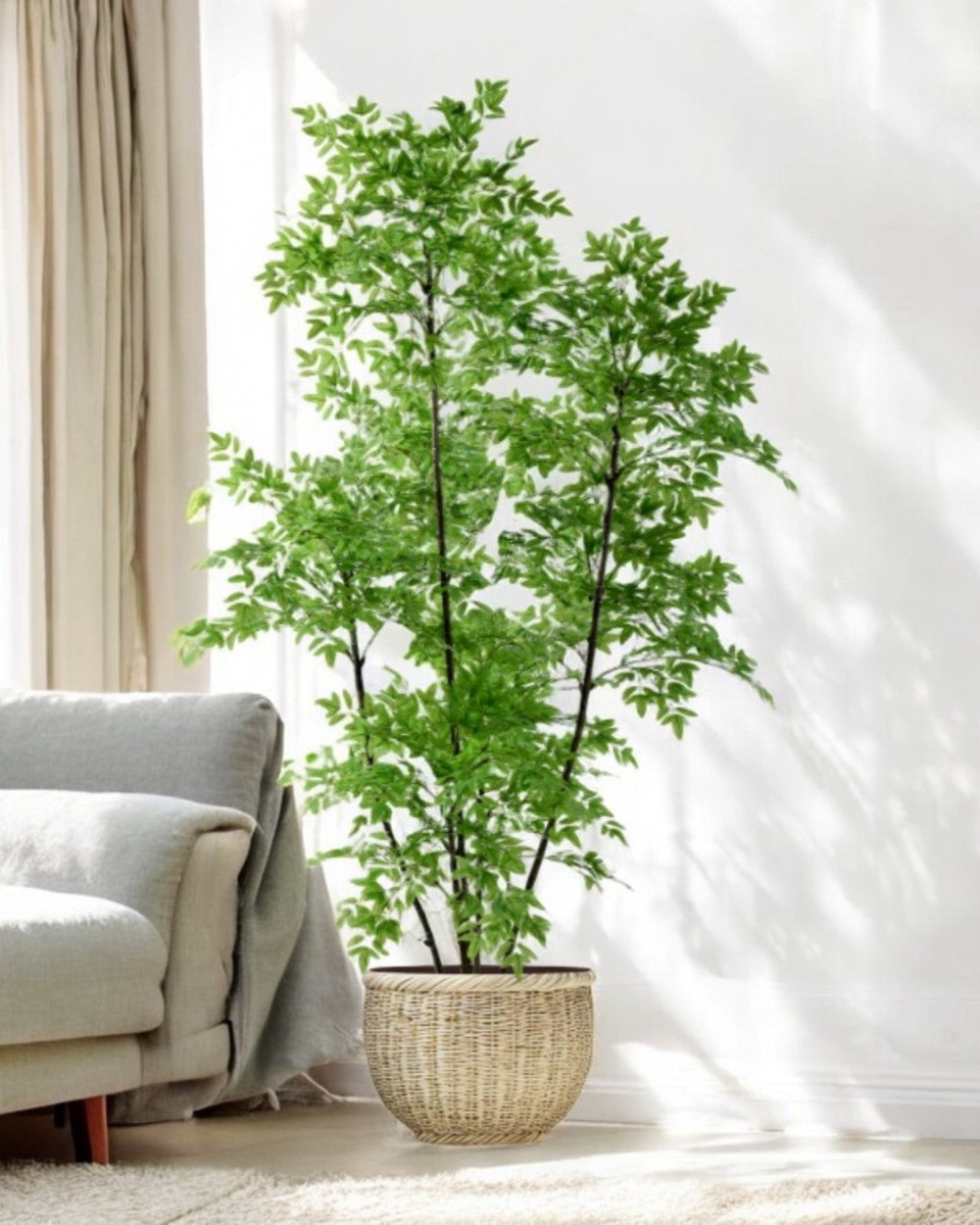 Southern Sky Bamboo (Life - like Artificial) - Potted plant - POTT - SOUT - GRW - 6853 - Tumbleweed Plants - Online Plant Delivery Singapore