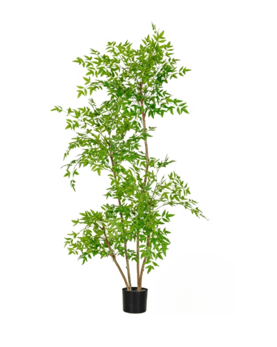 Southern Sky Bamboo (Life - like Artificial) - Potted plant - POTT - SOUT - GRW - 6847 - Tumbleweed Plants - Online Plant Delivery Singapore