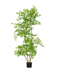 Southern Sky Bamboo (Life - like Artificial) - Potted plant - POTT - SOUT - GRW - 6847 - Tumbleweed Plants - Online Plant Delivery Singapore