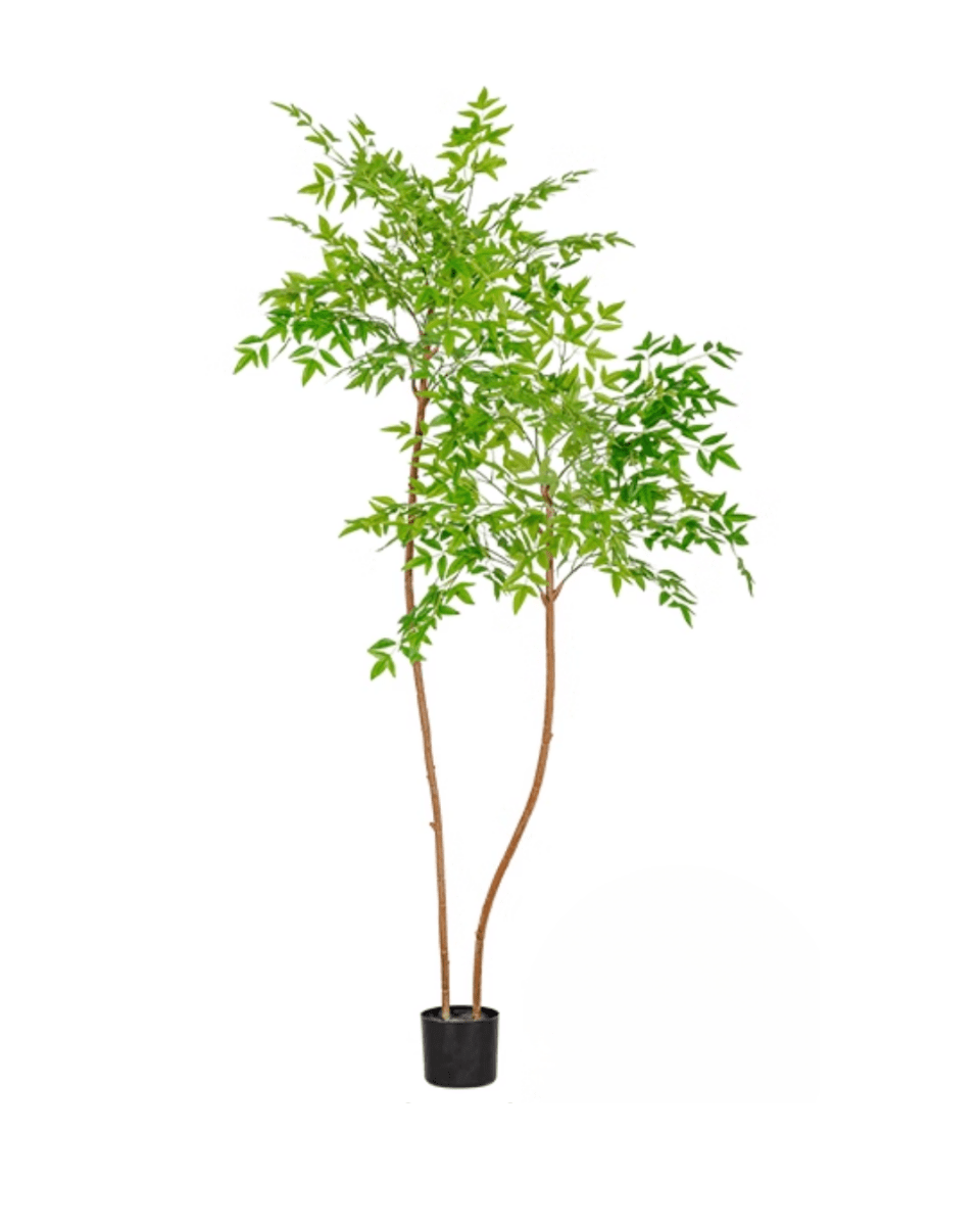 Southern Sky Bamboo (Life - like Artificial) - Potted plant - POTT - SOUT - GRW - 6849 - Tumbleweed Plants - Online Plant Delivery Singapore