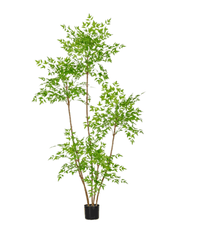 Southern Sky Bamboo (Life - like Artificial) - Potted plant - POTT - SOUT - GRW - 6848 - Tumbleweed Plants - Online Plant Delivery Singapore