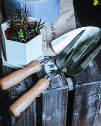 Spatula, Fork & Shovel Tools (Wooden Handle) - Garden Tools - 4648995460172 - Tumbleweed Plants - Online Plant Delivery Singapore