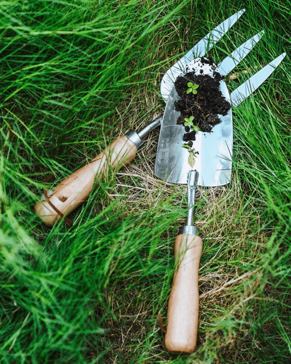 Spatula, Fork & Shovel Tools (Wooden Handle) - Garden Tools - 4648995460172 - Tumbleweed Plants - Online Plant Delivery Singapore