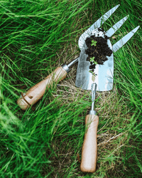 Spatula, Fork & Shovel Tools (Wooden Handle) - Garden Tools - 4648995460172 - Tumbleweed Plants - Online Plant Delivery Singapore