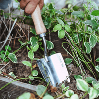Spatula, Fork & Shovel Tools (Wooden Handle) - Garden Tools - 4648995460172 - Tumbleweed Plants - Online Plant Delivery Singapore