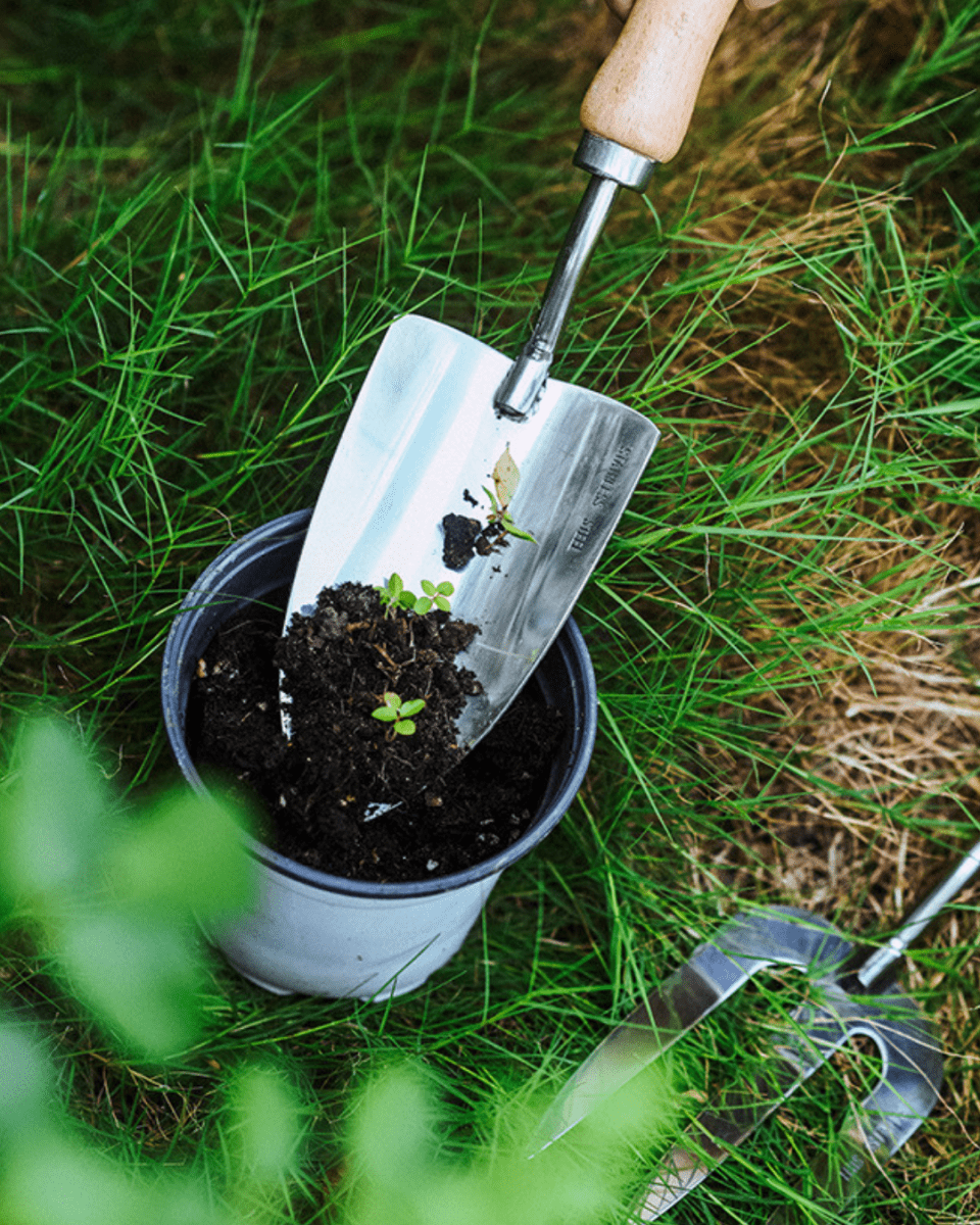 Spatula, Fork & Shovel Tools (Wooden Handle) - Garden Tools - 4648995460172 - Tumbleweed Plants - Online Plant Delivery Singapore