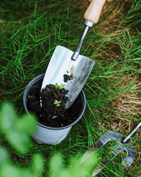 Spatula, Fork & Shovel Tools (Wooden Handle) - Garden Tools - 4648995460172 - Tumbleweed Plants - Online Plant Delivery Singapore