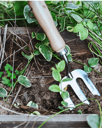 Spatula, Fork & Shovel Tools (Wooden Handle) - Garden Tools - 4648995460172 - Tumbleweed Plants - Online Plant Delivery Singapore