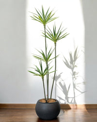 Sphere - HydroEase Pot - Large - Pots - 5555142420474 - Tumbleweed Plants - Online Plant Delivery Singapore