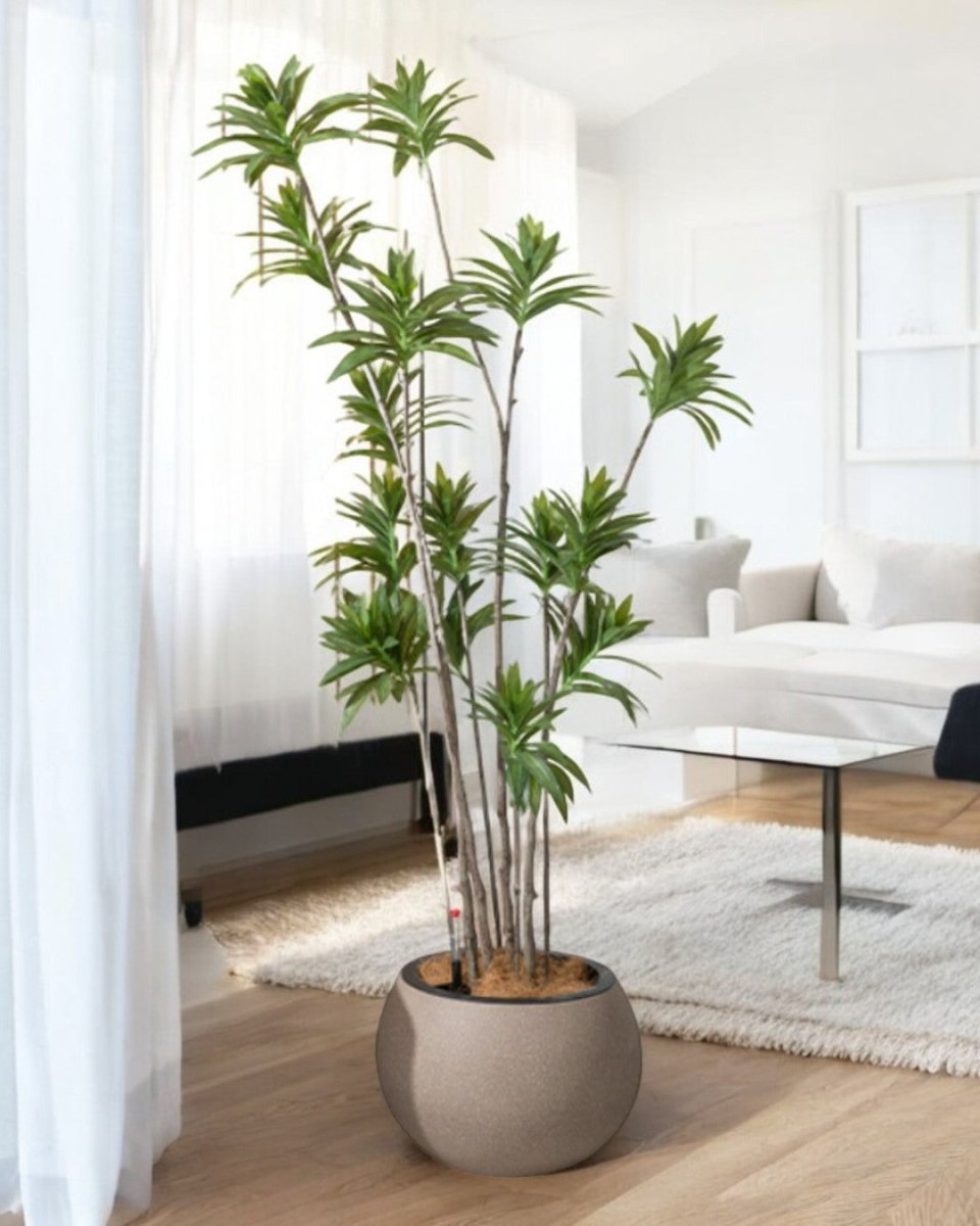 Sphere - HydroEase Pot - Large - Pots - 5555142420474 - Tumbleweed Plants - Online Plant Delivery Singapore