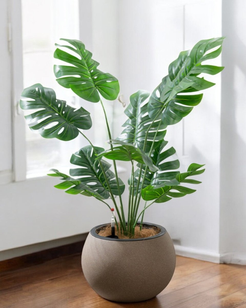 Sphere - HydroEase Pot - Large - Pots - 5555142420474 - Tumbleweed Plants - Online Plant Delivery Singapore