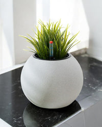 Sphere HydroEase Self Watering Pot - Medium - Pots - 5555142420472 - Tumbleweed Plants - Online Plant Delivery Singapore