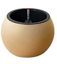 Sphere HydroEase Self Watering Pot - Medium - Pots - 5555142420472 - Tumbleweed Plants - Online Plant Delivery Singapore