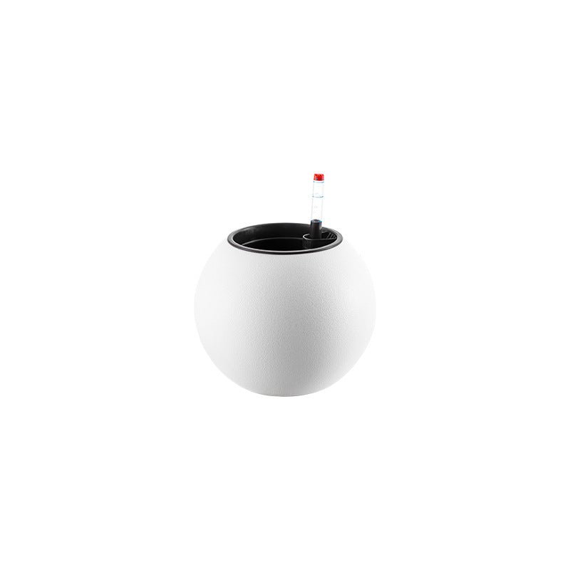 Sphere HydroEase Self Watering Pot - Small - Pots - 5507164076317 - Tumbleweed Plants - Online Plant Delivery Singapore
