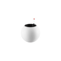 Sphere HydroEase Self Watering Pot - Small - Pots - 5507164076317 - Tumbleweed Plants - Online Plant Delivery Singapore