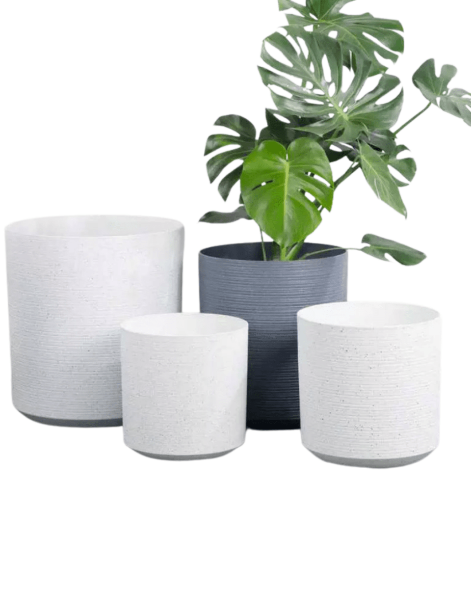 Stria Cylinder Pots - XL - Planter - 5674564825037 - Tumbleweed Plants - Online Plant Delivery Singapore