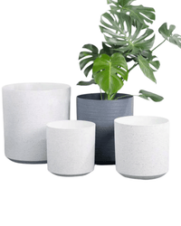 Stria Cylinder Pots - XL - Planter - 5674564825037 - Tumbleweed Plants - Online Plant Delivery Singapore