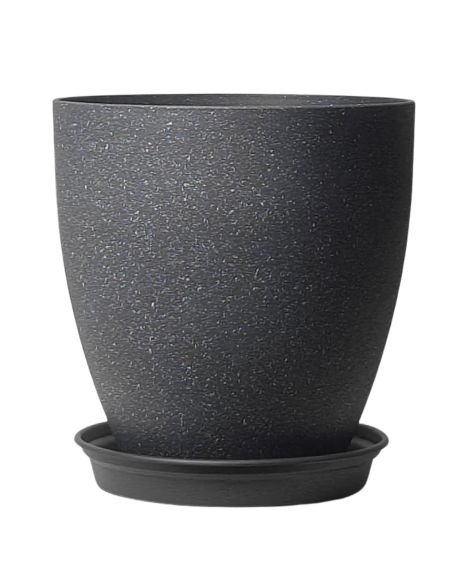 Stria Egg Pots - XXL - Planter - 5446393642045 - Tumbleweed Plants - Online Plant Delivery Singapore