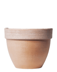 Stria Terralite Pot - Planter - 5636918002941 - Tumbleweed Plants - Online Plant Delivery Singapore