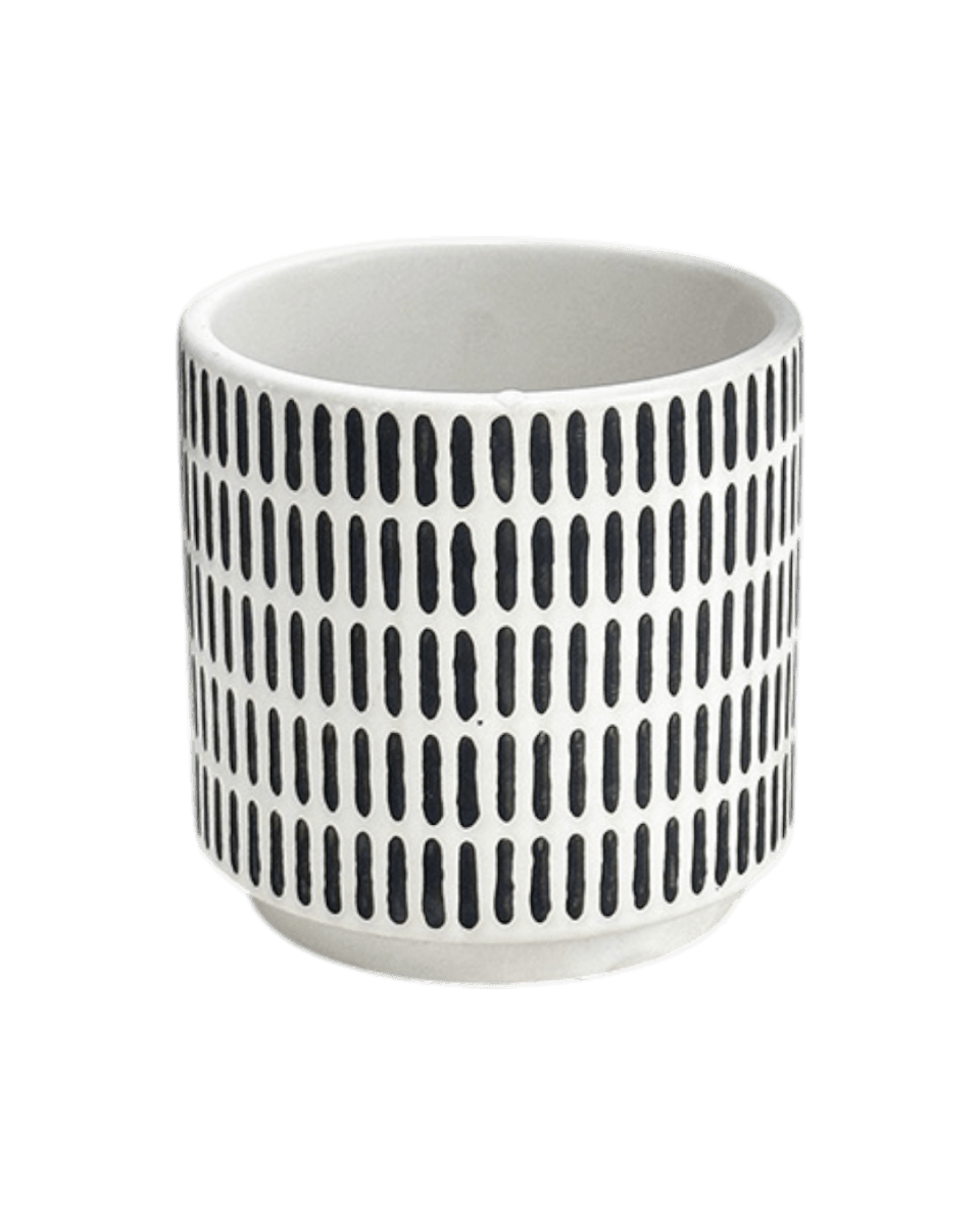 Stripe Pocky Planter - Planter - 5486296416210 - Tumbleweed Plants - Online Plant Delivery Singapore
